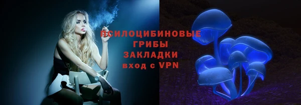 spice Нязепетровск