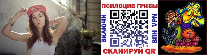купить наркотики сайты  Новое Девяткино  Галлюциногенные грибы мицелий 